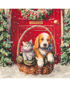 Pannelli 47x47 cm cuccioli Natale